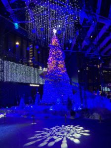 ライトアップされたクリスマスツリー